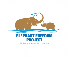 elephant-freedom-trans-logo-2